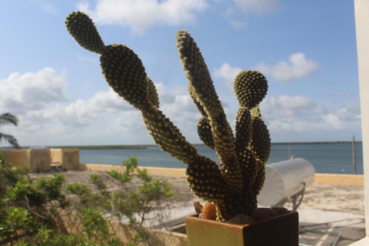 Kijani Hotel Lamu Zewnętrze zdjęcie